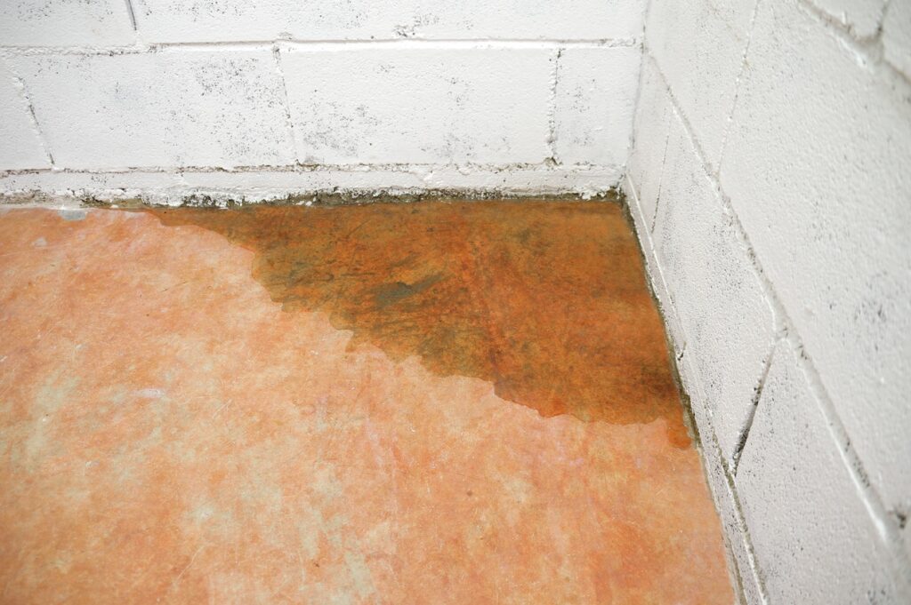 Identifying the Early Signs of a Slab Leak